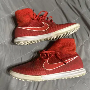 마지스타 마지스타 프로모 MAGISTA MAGISTAPROXIMO TF
