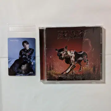 타워 레코드 기간 한정 트레이딩 카드 REI 씨