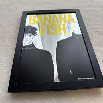 BANANA FISH 사진 거울 A