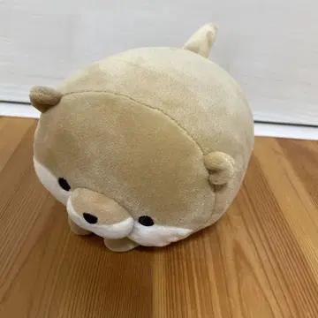 라이프 강아지