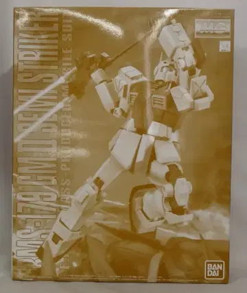 반다이 MG 1/100 기동전사 건담 UC 헬스장 II 세미 스트라이커