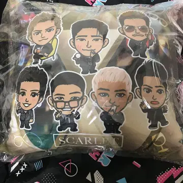 3대 JSB 모음 쿠션 SCARLET