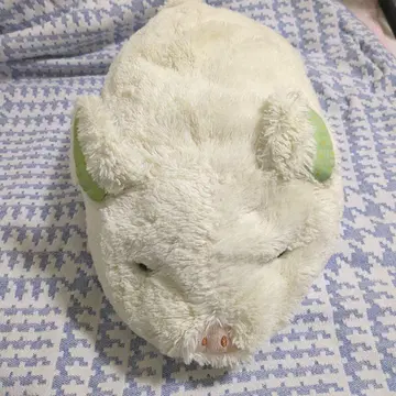돼지 봉제 인형