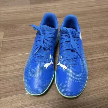 Puma 풋살화 파랑