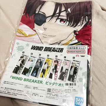 WIND BREAKER 윈브레 빅 타월 소호 슈히 SD 인형 전권