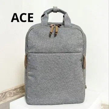 ACE 럭색 비즈니스 백