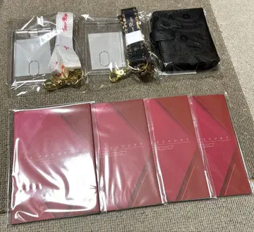 하마사키 아유미 TA 한정 카드 홀더 TA PASSPORT 세트!