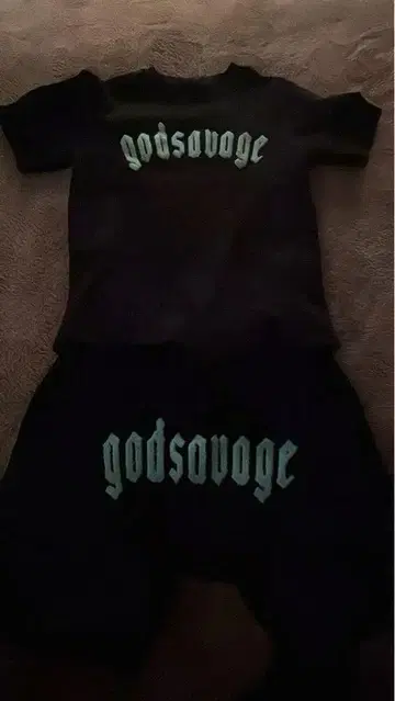 godsavage 셋업