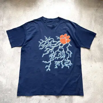 1990년대 클렘슨 대학교 번개와 천둥