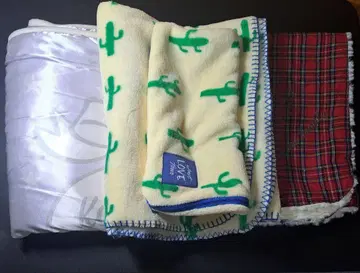 니시노 카나 담요
