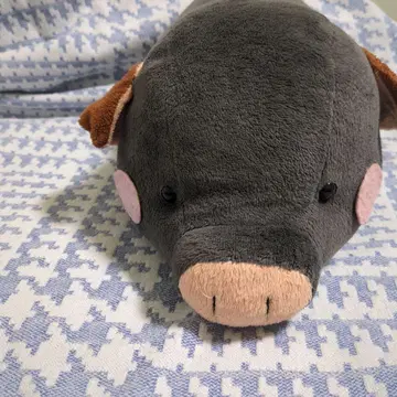 돼지 봉제 인형