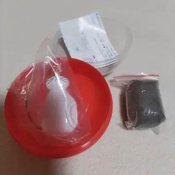 우리 아이의 케다마다 하치와레