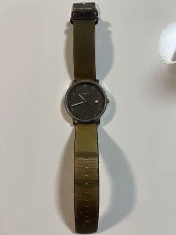 SKAGEN 시계