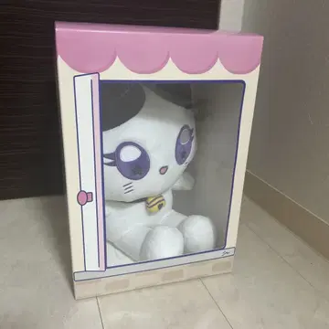 오스와리 미야이즈 카사하라 모모나