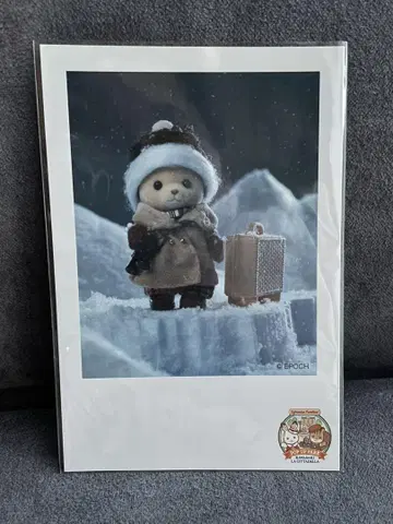실바니안 패밀리 곰 한정판 엽서