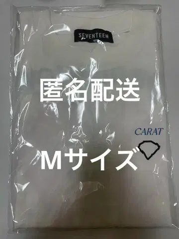 세븐틴 팬미팅 2023 LOVE