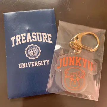 TREASURE 아크릴 키링