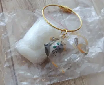 우리 집 고양이 삼색 고양이
