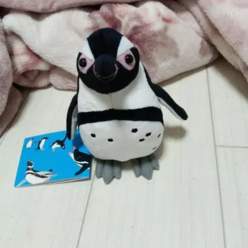 펭귄 봉제 인형 약 20cm