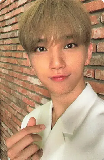 SEVENTEEN Begin JOSHUA An Ode 파랑