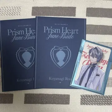 코야나기 로우 준 브라 셀레브레이션 카드 폴라로이드
