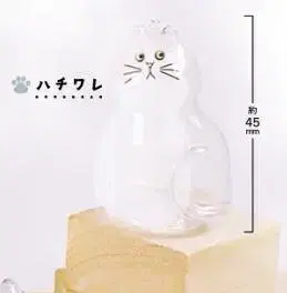 우리 집의 코케다마 하치와레