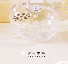 우리 집의 코케다마 노멀