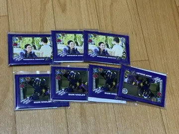 분붐저 캔뱃지 센토 분 바이올렛