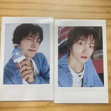 손호 폴라로이드