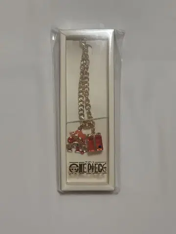 ONE PIECE 해피 벌스데이 백 참 에이스 원피스