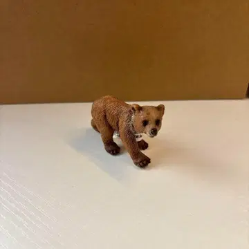 슐라이히 단종 곰 새끼