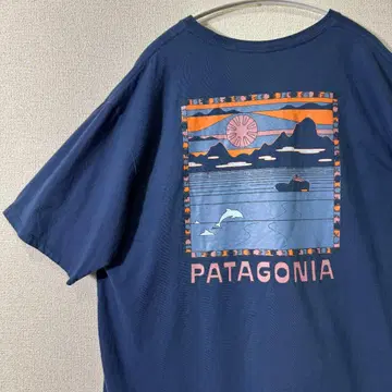 Patagonia 남성용 Summit Swell 오가닉 티셔츠 TEE L