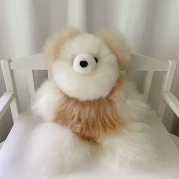 알파카 테디베어 곰 봉제 인형 알파카 베어