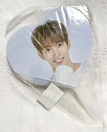 SEVENTEEN 도겸 부채 CARATLAND 케렌 2020