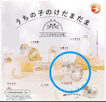1개 사바트라 우리 집 고양이 가챠 고양이 반려동물 털 키링