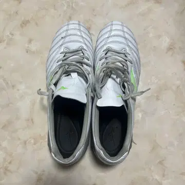모나르시다