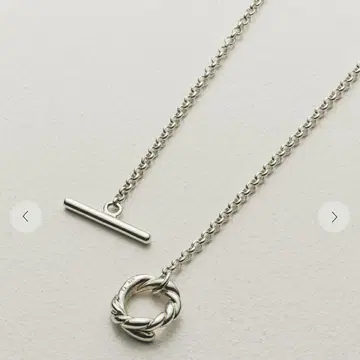 fauvirame pokeweed necklace 실버 타카하시 카이토