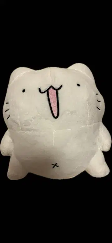카라메루 고양이