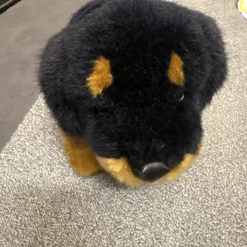 로트 와일러 봉제 인형