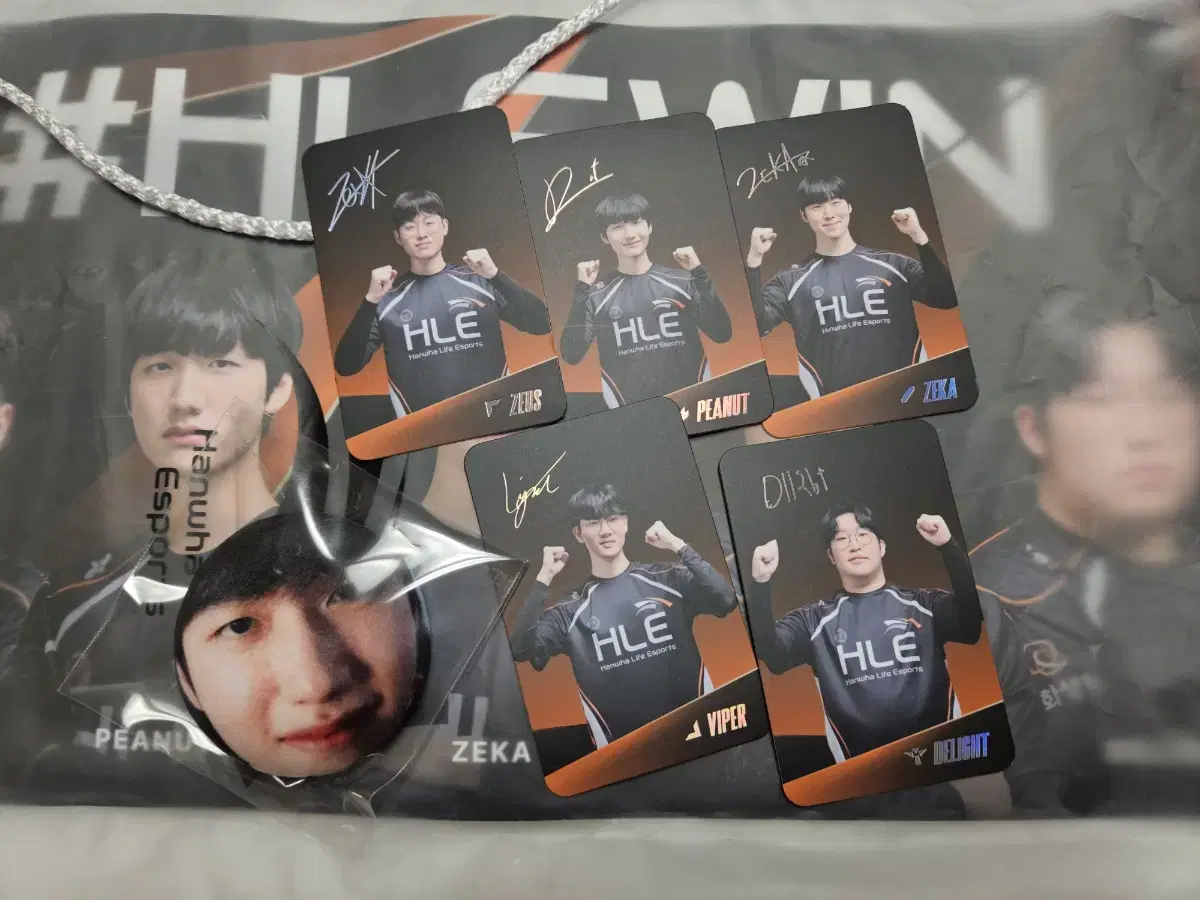 Peanut Squishy Pin Badge + Hanwha Life Insurance MSI Goods (poca, Gym Sack)