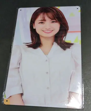 이노우에 세이카 [새상품] 메탈 플레이트 양철 간판
