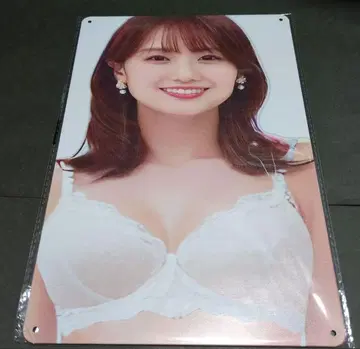 이노우에 세이카 [새상품] 메탈 플레이트 양철 간판