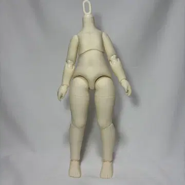 tinyfox 1/6 바디만