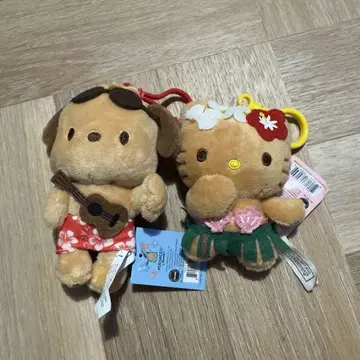 하와이 한정판 키티 포차코
