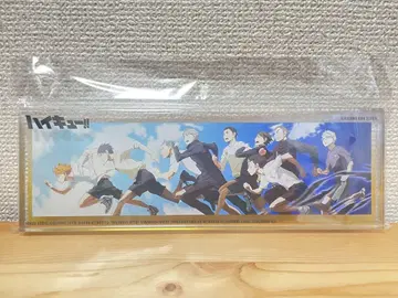 하이큐 베이스 야드 도쿄 빅 아크릴 블록 F 저작권 비주얼