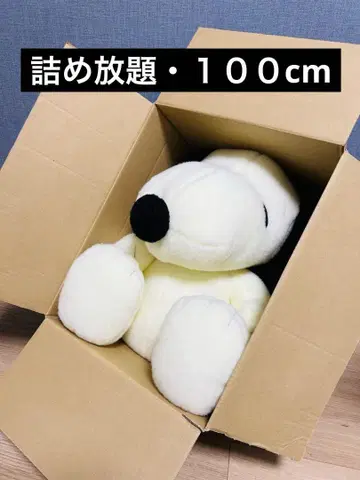 무제한 포장 100(97.5)cm 무제한 포장 접수 중