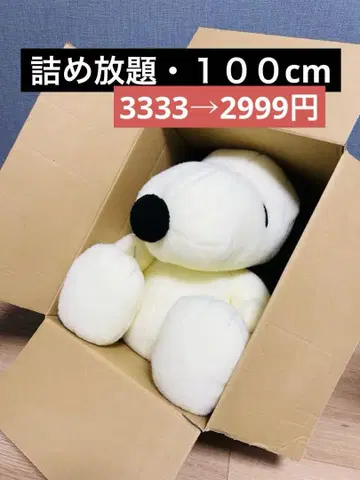 무제한 포장 100(97.5)cm 무제한 포장 접수 중