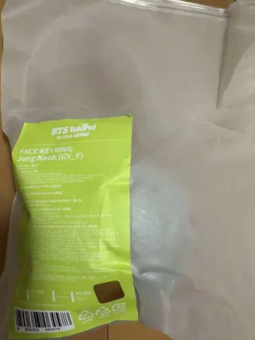 BTS 인더솜 페이스 키링 정국