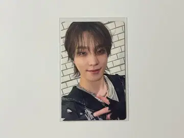 세부치 HAPPY BURSTDAY kit 키노 디노