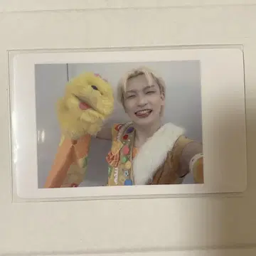 팬더 드래곤 요타 하피카 21